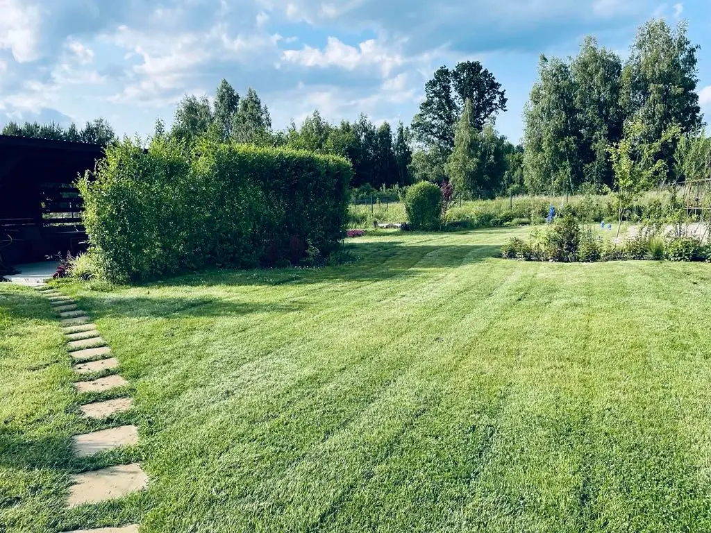 Szybkorosnące żywopłoty